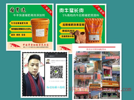 4、 Anglo-Meier 肉牛專用預(yù)混料:什么飼料對牛有益