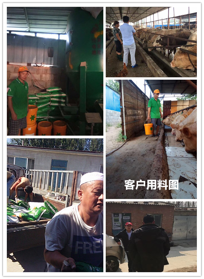  1、 大約公斤牛的育肥方法？如何混合飼料。喂多少干草和喂多少精料。你用什么喂濃縮物？ 
