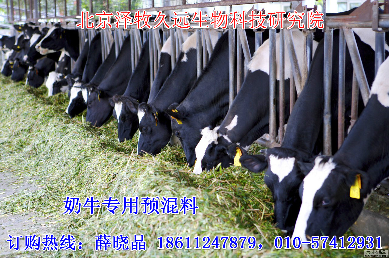 2、奶牛飼料廠有哪些?